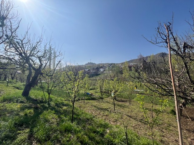IMG_3201.jpeg