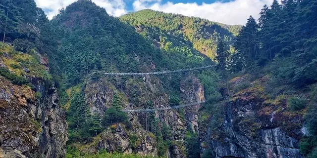 THE-BEST-TREKKING-POLES-D-1.webp