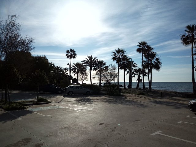 k-IMG_20210316_092622_3.jpg