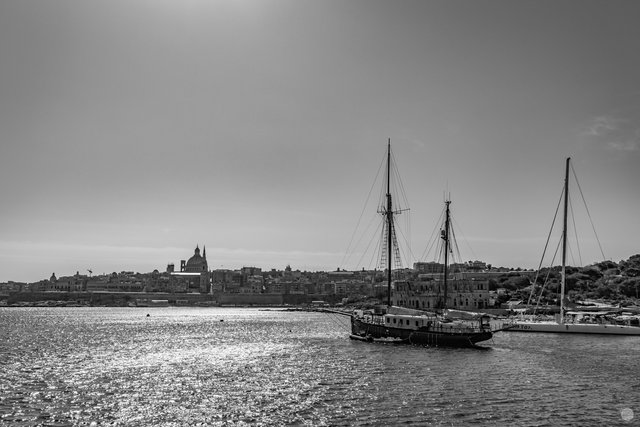 IMG_5341.jpg
