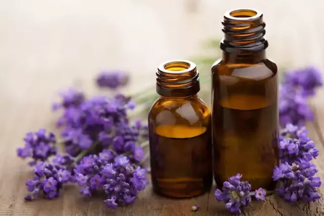 LavendarEssentialOils660.webp