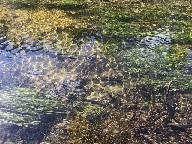 Merced River Near Our Beach.jpg