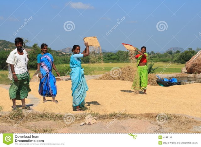 indian-manual-labor-4198136.jpg