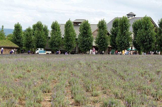 Japan-Hokkaido12802-1718.jpg