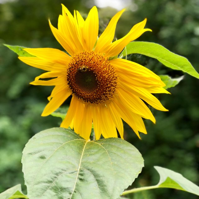 2149F097-2F5B-4A4C-8CEE-F4777FA28A07.jpeg