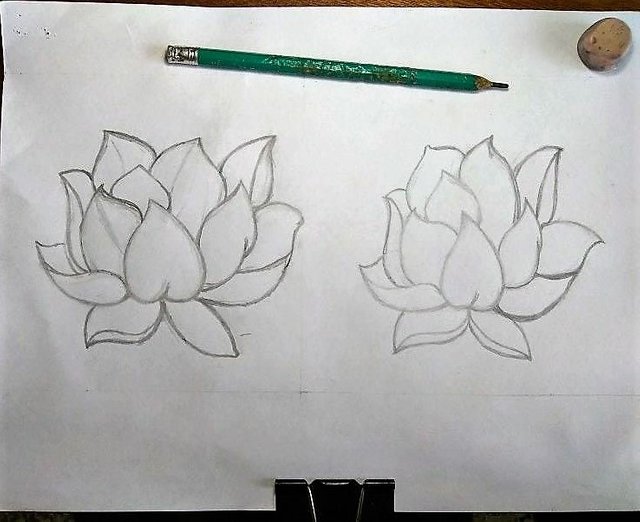 flor de loto.jpg