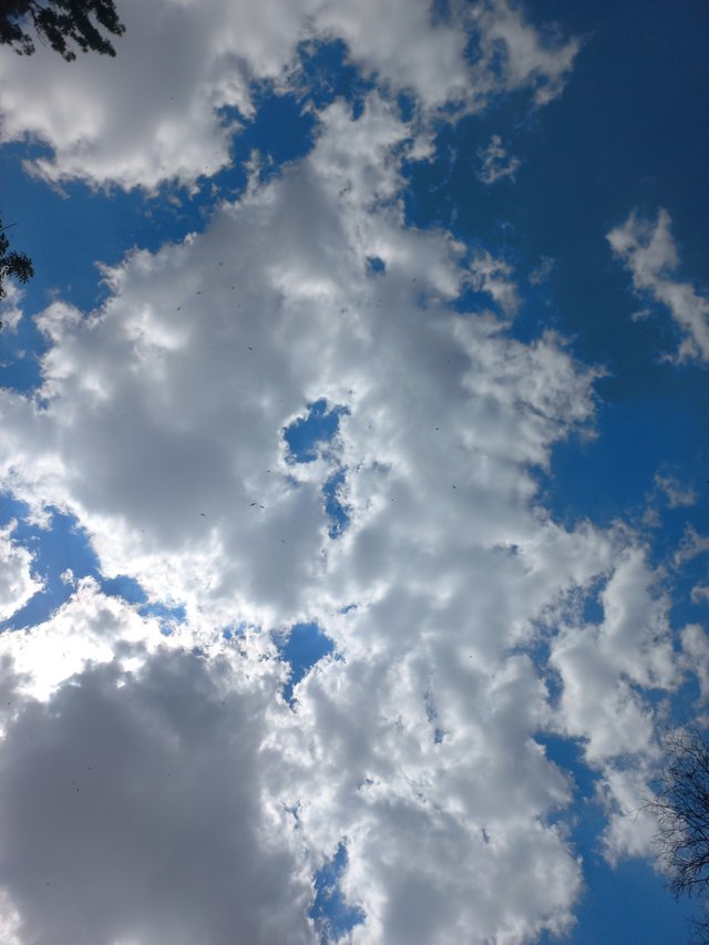 20250708_144751.jpg