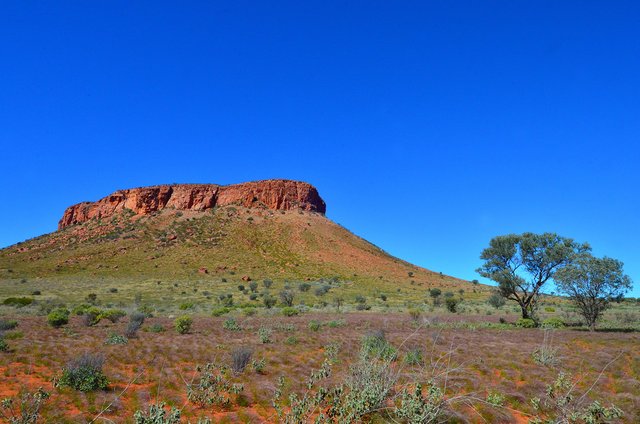 Lake Mackay 1.jpg