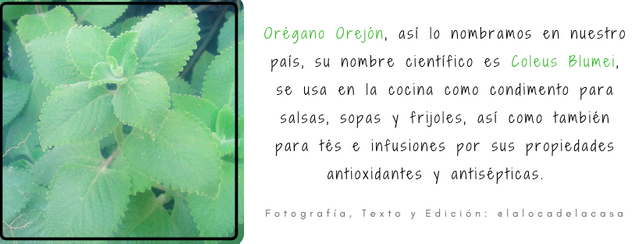 Don't Panic, It's Organic. (6).png