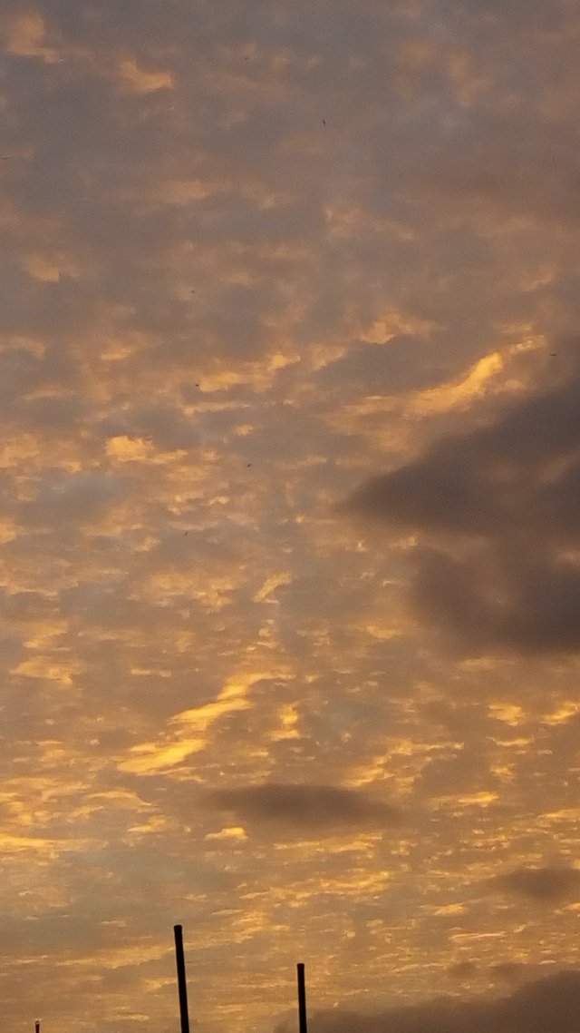 IMG_20180824_185655.jpg