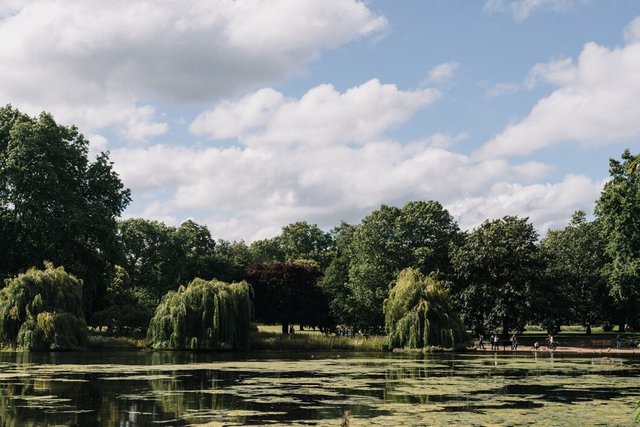 beautiful-wide-shot-trees-near-lake-clear-blue-sky-with-white-clouds_181624-2469.jpg