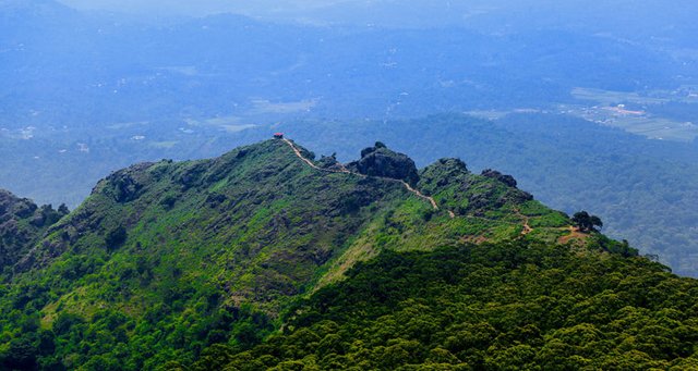 ooty-needle-rock-view-point.jpg