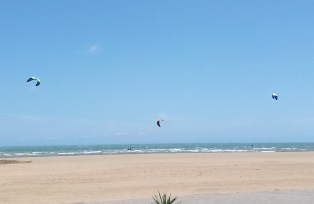 IMG_20250308_130046_109.jpg