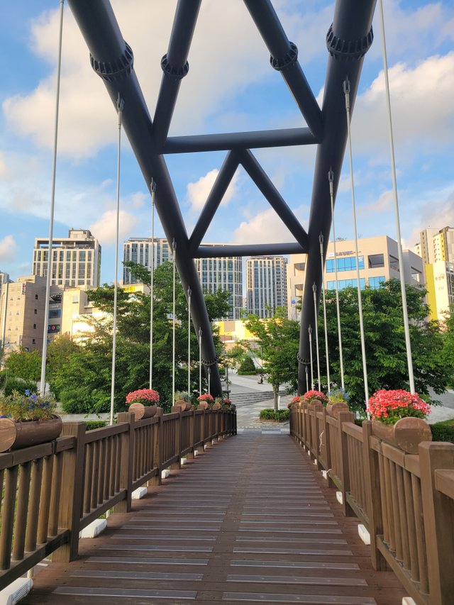 1000407453.jpg