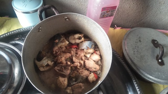 IMG20250504071641.jpg