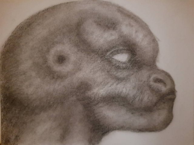 20250925_104905.jpg