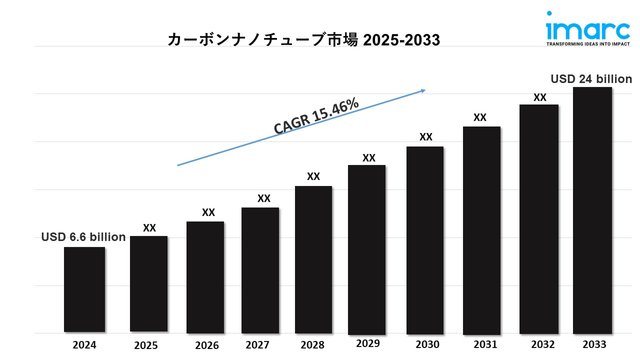 carbon nanotubes market 2033.jpg