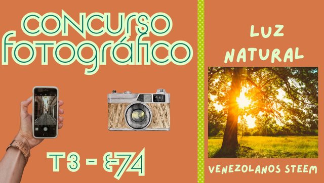 Concurso fotográfico (54).jpg