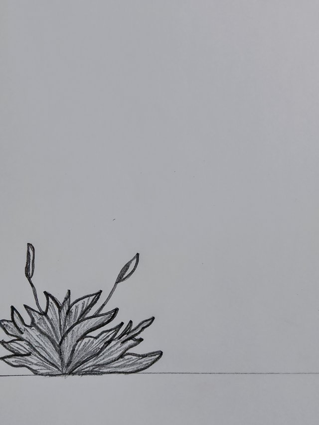 1000082439.jpg