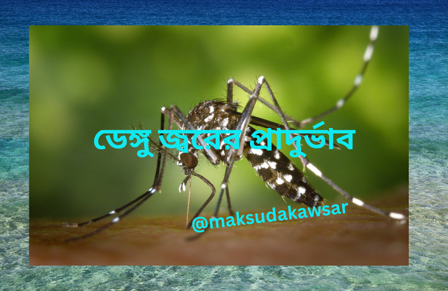 ডেঙ্গু জ্বরের প্রাদুর্ভাব.png