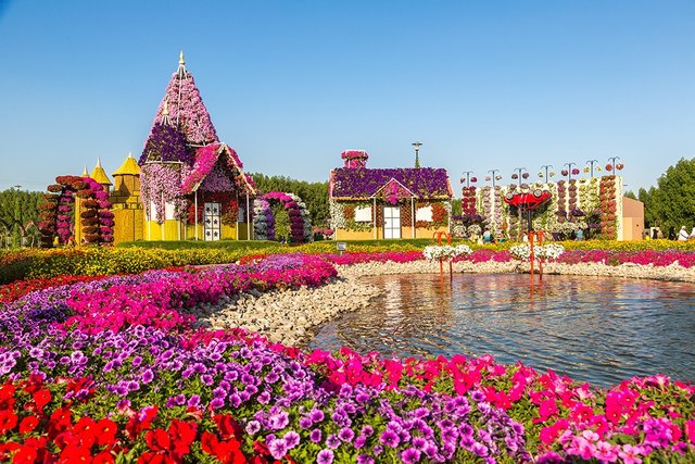 Dubai-Miracle-Garden.jpg