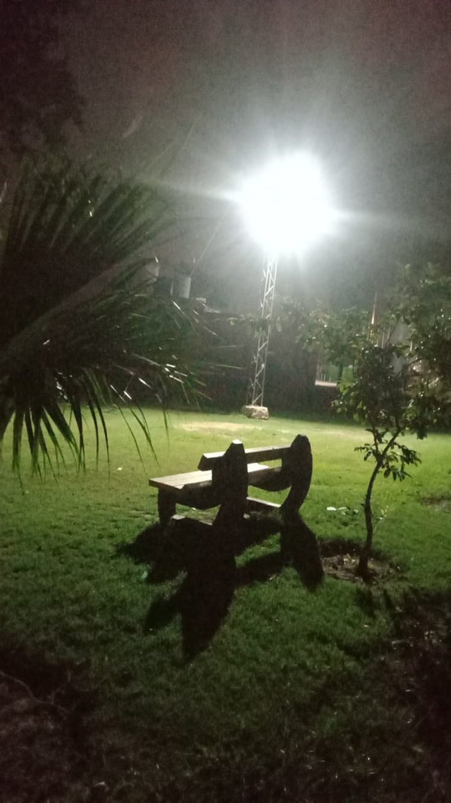 bench.jpeg