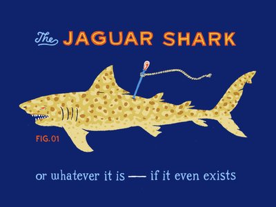 dan-lehman_jaguar-shark_1x.jpg