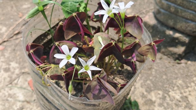 20250509_121445.jpg