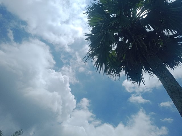 IMG20250628111357.jpg