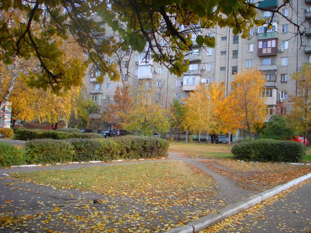DSC03573.JPG