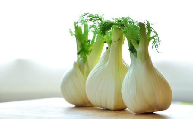 fennel-1311691_1920.jpg