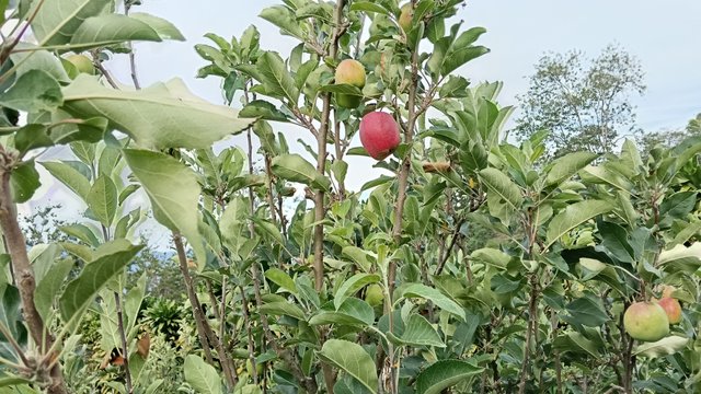 IMG20250727163007.jpg