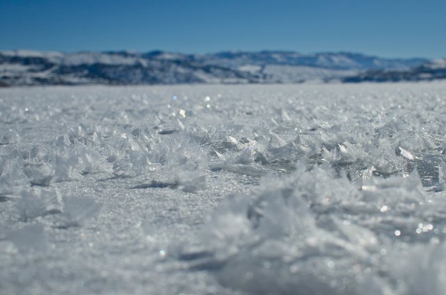 The frozen snow across the lake.JPG