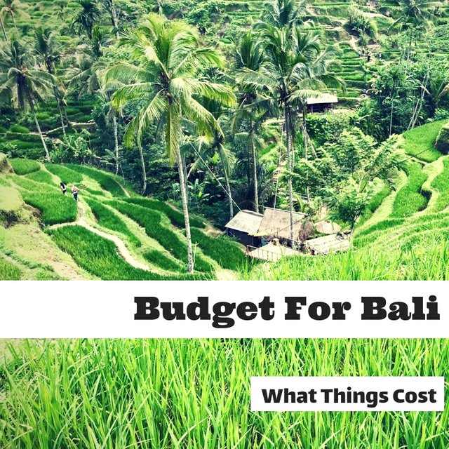 Budget For Bali.jpg
