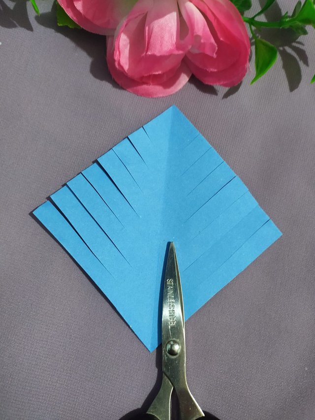 1000016102.jpg