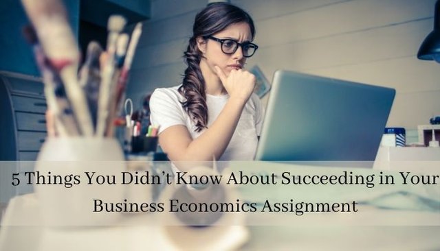 5 Things You Didn’t Know About Succeeding in Your Business Economics Assignment.jpg