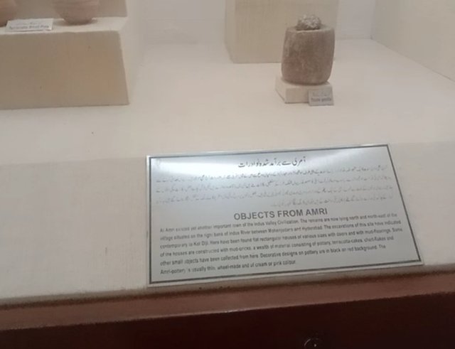 1000030919.jpg