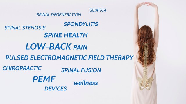 Pemf therapy for Low-back Pain & Spine Health.jpg