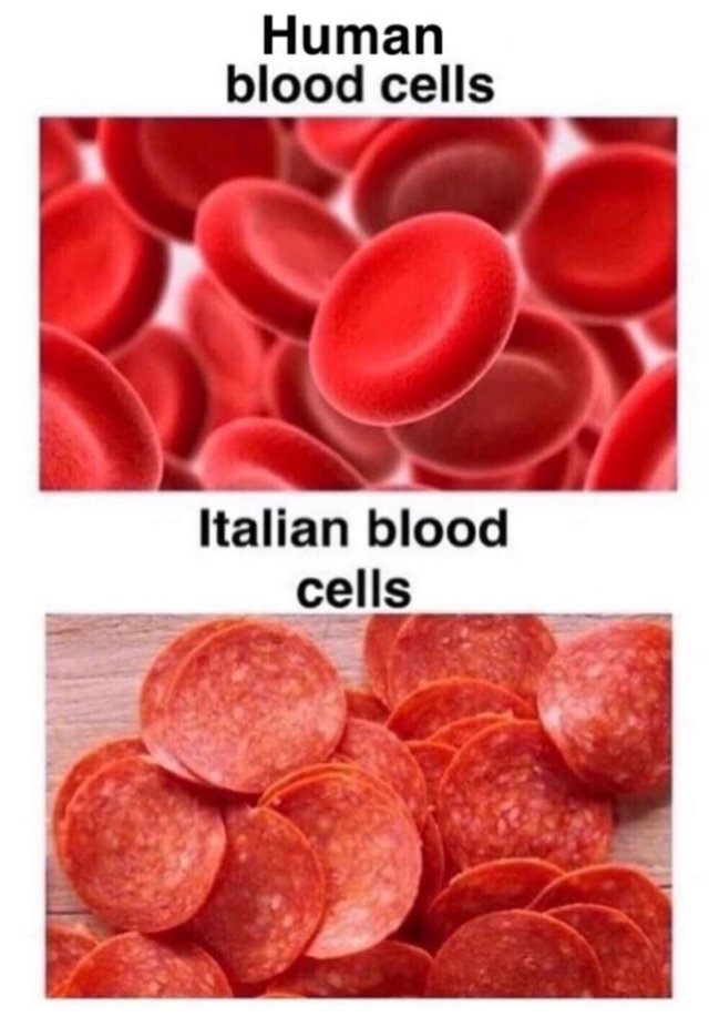 Blood+cells_35eb26_6832558.jpg
