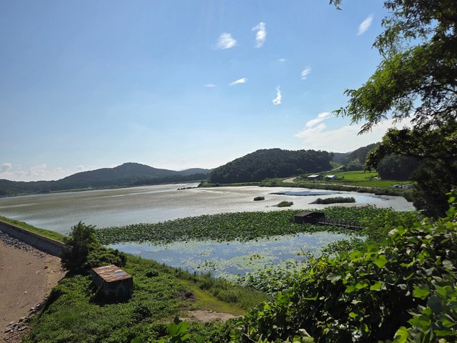 20250807_091744.jpg