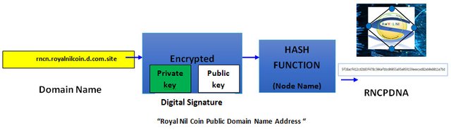 “Royal Nil Coin Public Domain Name Address “.jpg