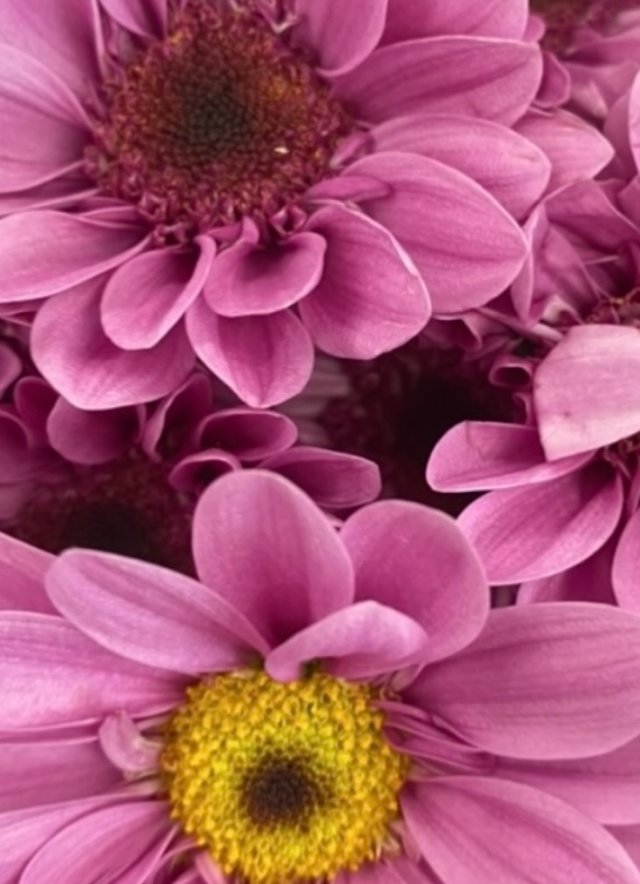 IMG_4840.jpeg