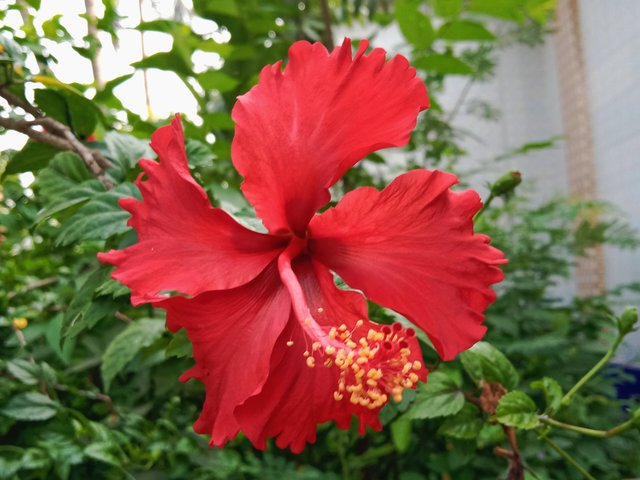 IMG_20250512_191759.jpg