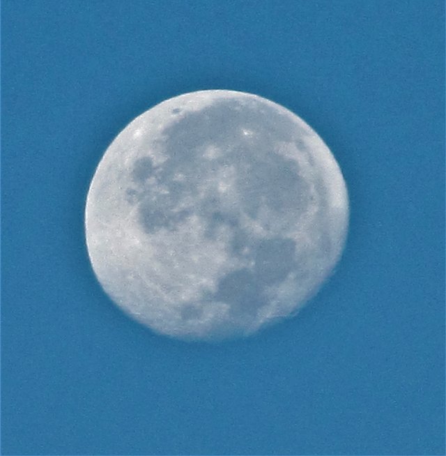 moon day 1.jpg