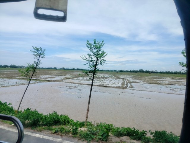 IMG20250725130328.jpg