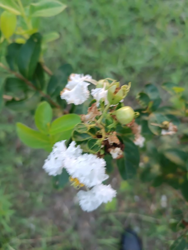 IMG_20250627_183147.jpg