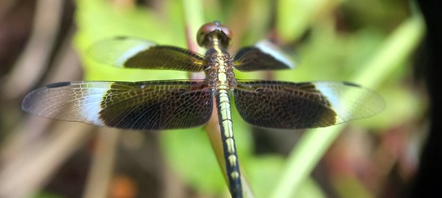 20220926_093922.jpg