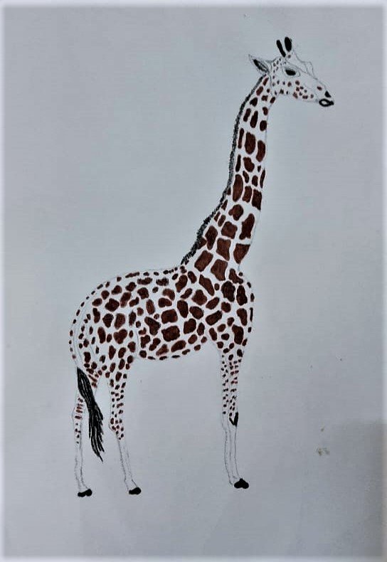 WhatsApp Image 2023-08-16 at 22.34.26 (2).jpg