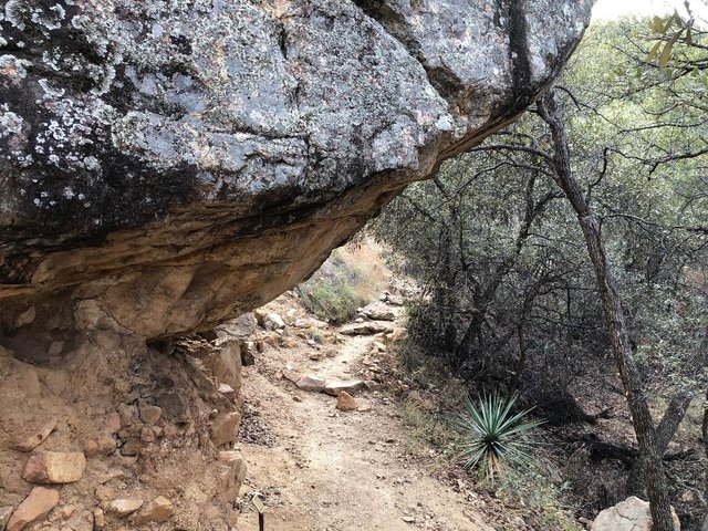 hiking rock.jpg