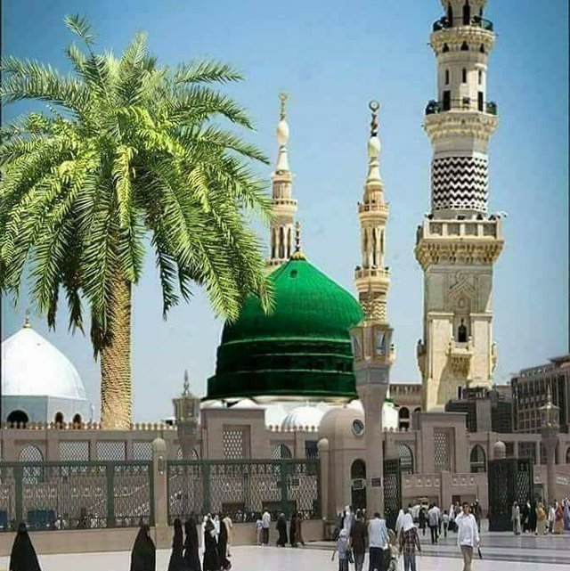 Roza Hazrat Muhammad Saww.jpg